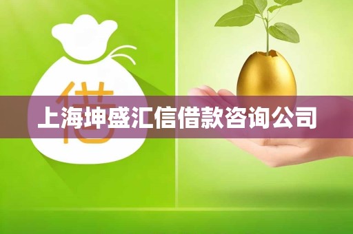 上海坤盛汇信借款咨询公司 上海坤盛汇信借款咨询公司