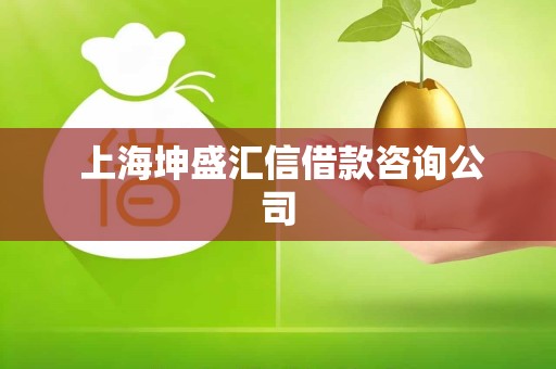  上海坤盛汇信借款咨询公司